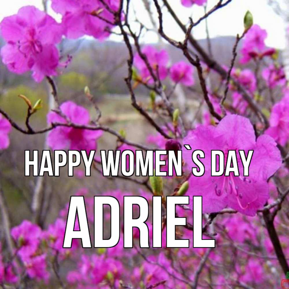 Greetings card с именем, Adriel happy women`s day международный женский день Greetings with text for free download 